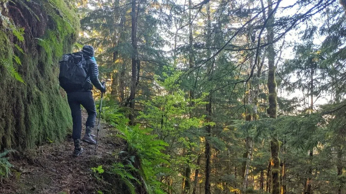 Vandrare med stavar och ryggsäck på mossig skogsstig