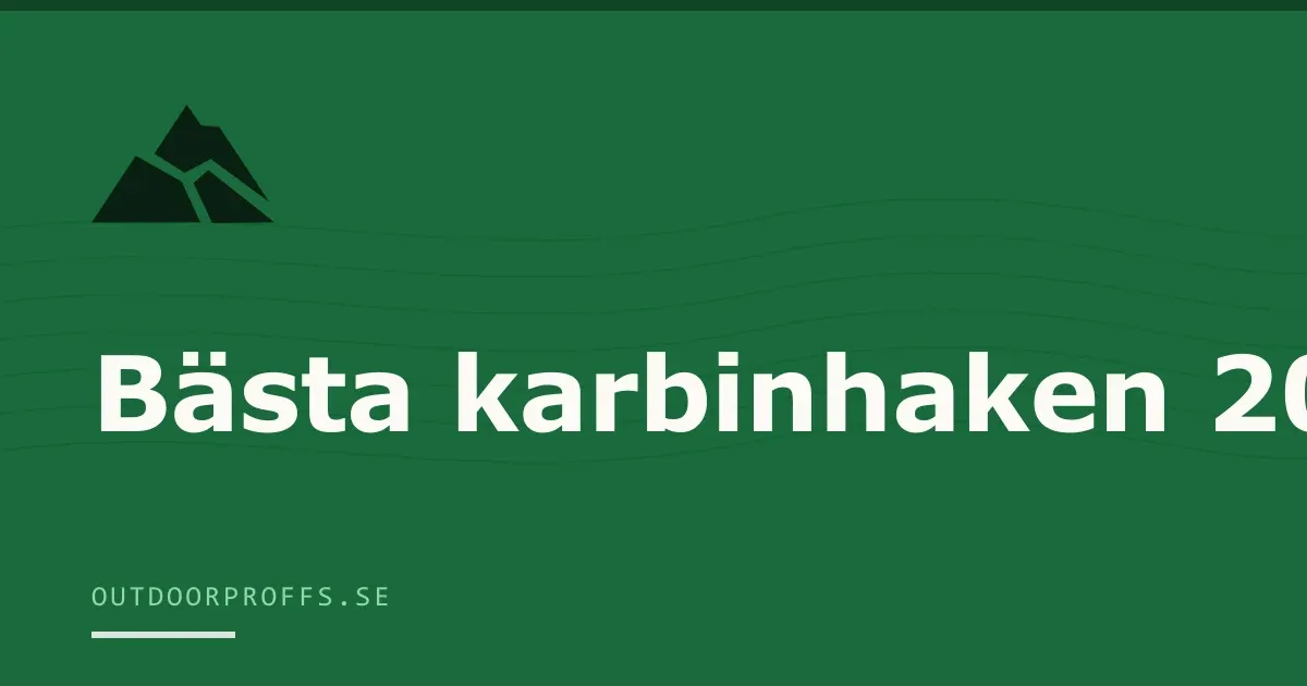 Karbinhakar med klätterrep fästa i klippa