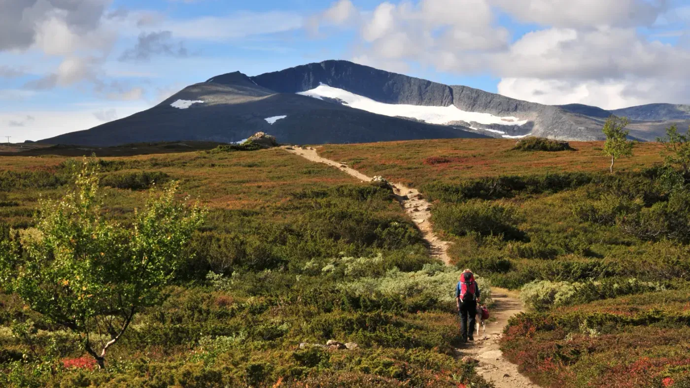 Vandrare med hund på stig genom fjällhed med Helagsfjällets glaciär i bakgrunden