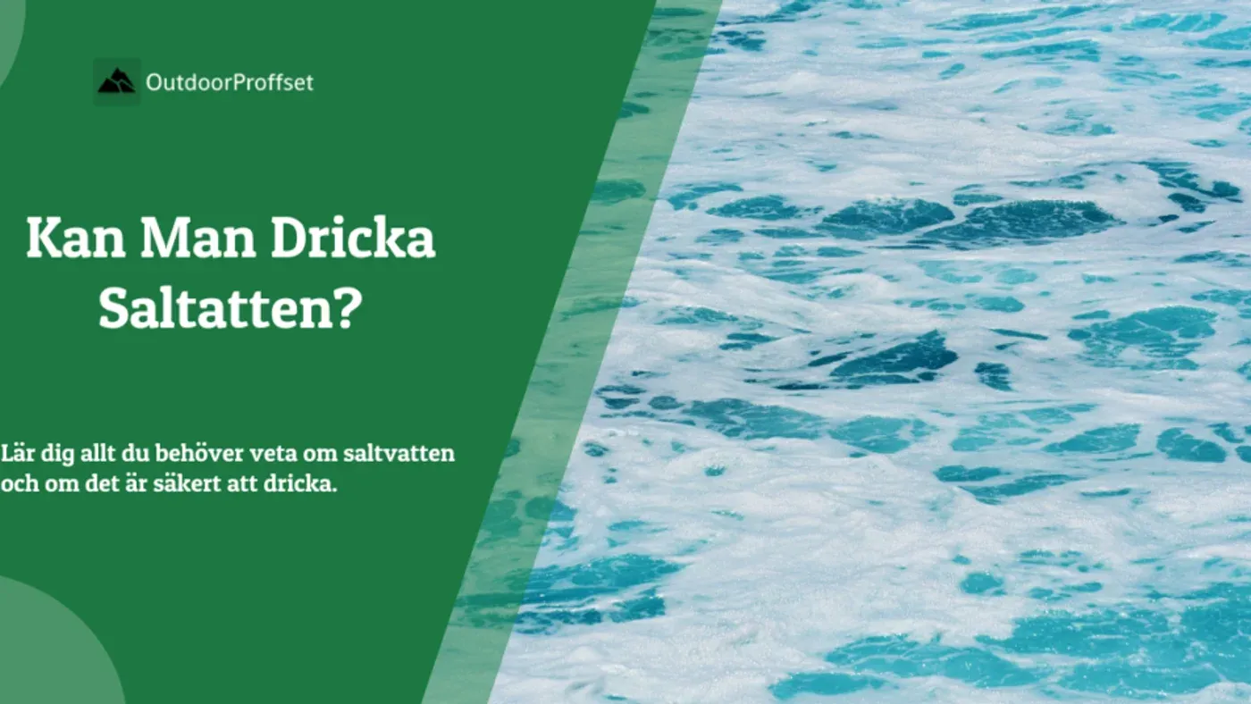 Vågor som sköljer in mot en klippstrand