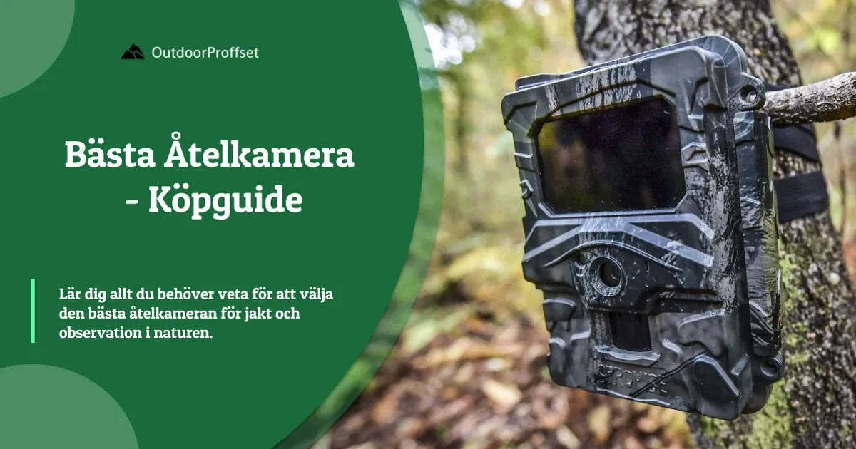 Åtelkamera fäst på trädstam i skogen