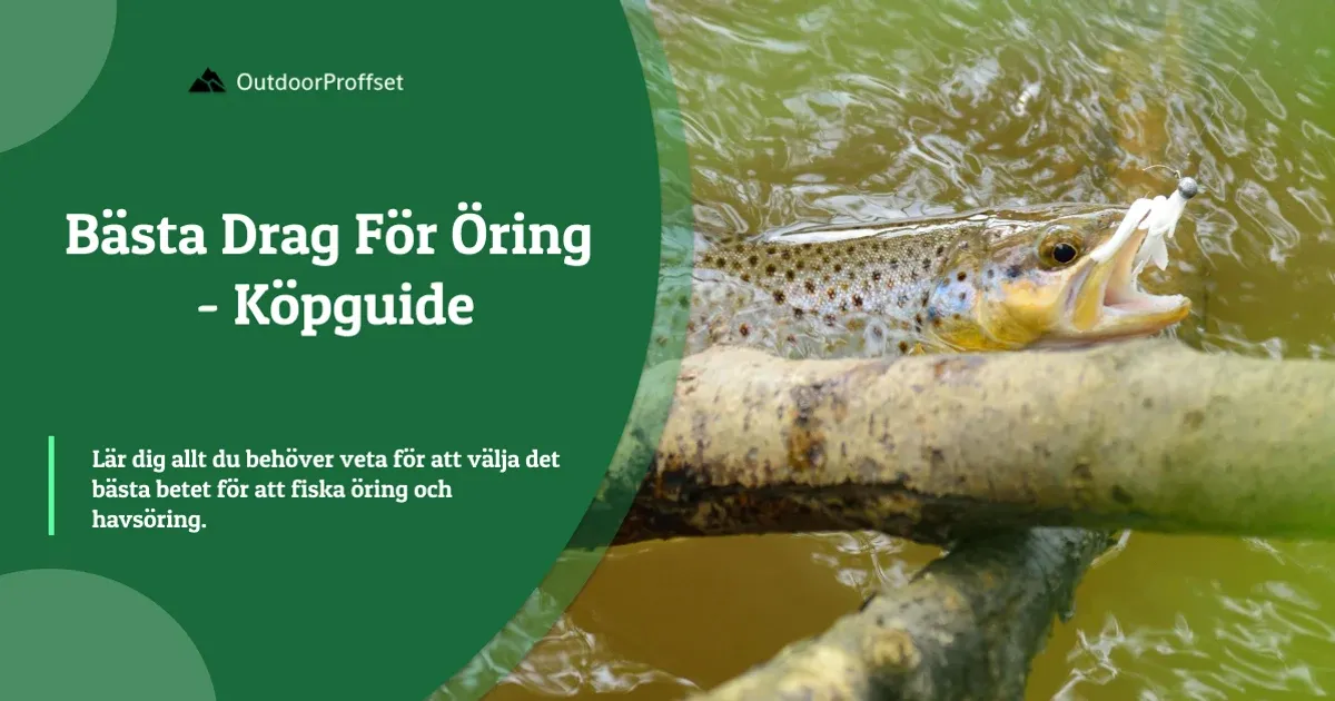 Öring med bete i munnen vid vattenytan