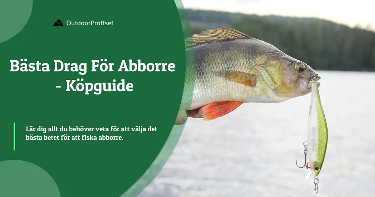 Hand håller upp en abborre med drag i munnen vid sjö