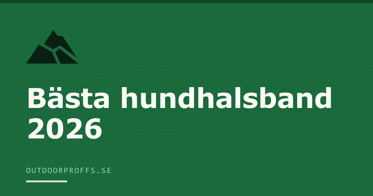 Omslagsbild från Outdoorproffsets köpguide till hundhalsband