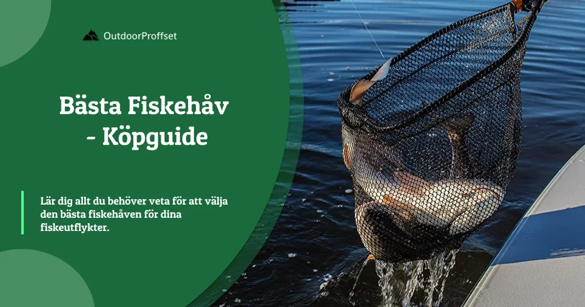 Fiskehåv lyfter en fisk ur vattnet vid båtkant