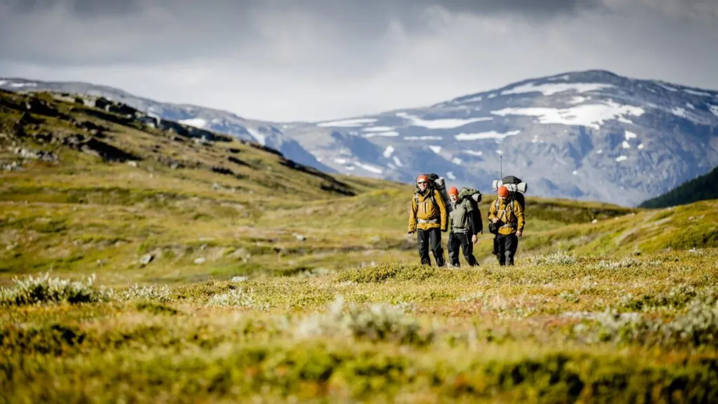 Tre vandrare med ryggsäckar går över öppen fjällhed med snötäckta berg i bakgrunden