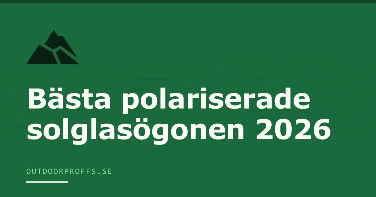 Solnedgång vid en brygga sedd genom bruna solglasögon