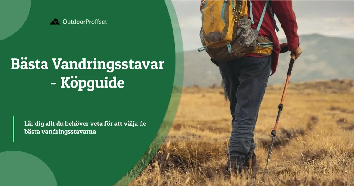 Vandrare med ryggsäck och stav i öppet fjällandskap