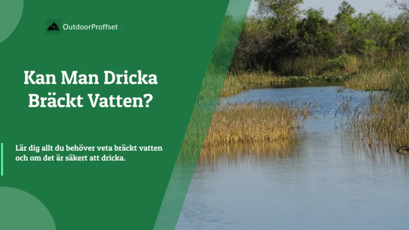 Vatten där sötvatten och saltvatten möts vid en flodmynning