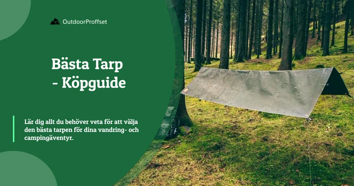 Grå tarp uppspänd mellan träd i barrskog