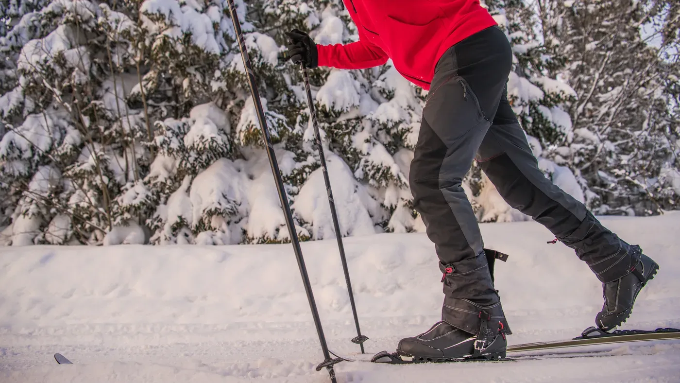 Skidåkares ben och stavar i skidspår i skogen