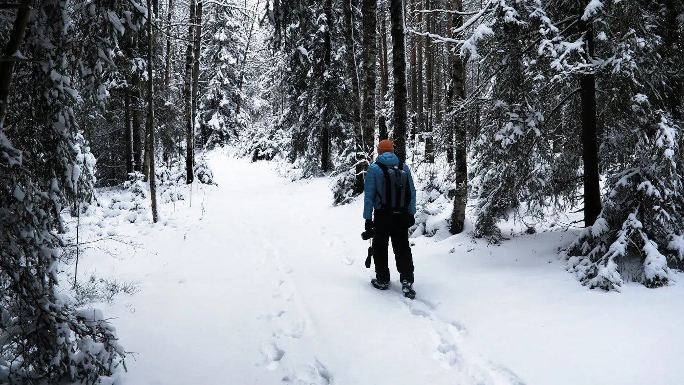 Person i snöskor vandrar på snötäckt skogsstig