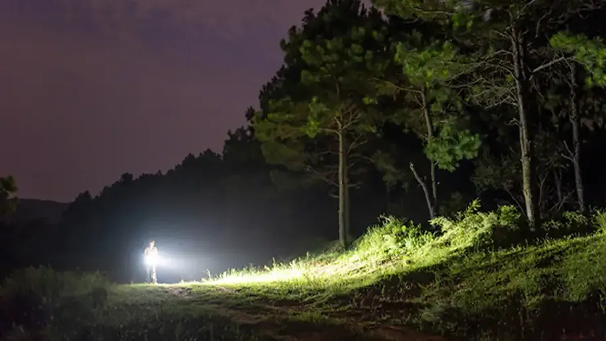 Siluett av person med stark ficklampa i mörk skogsglänta