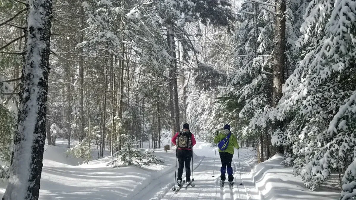 Två längdskidåkare på skidspår genom snötäckt skog