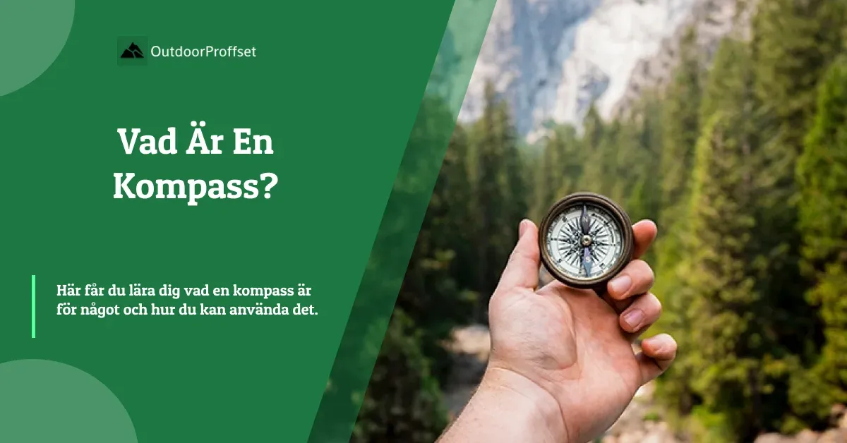 Hand håller kompass framför barrskog