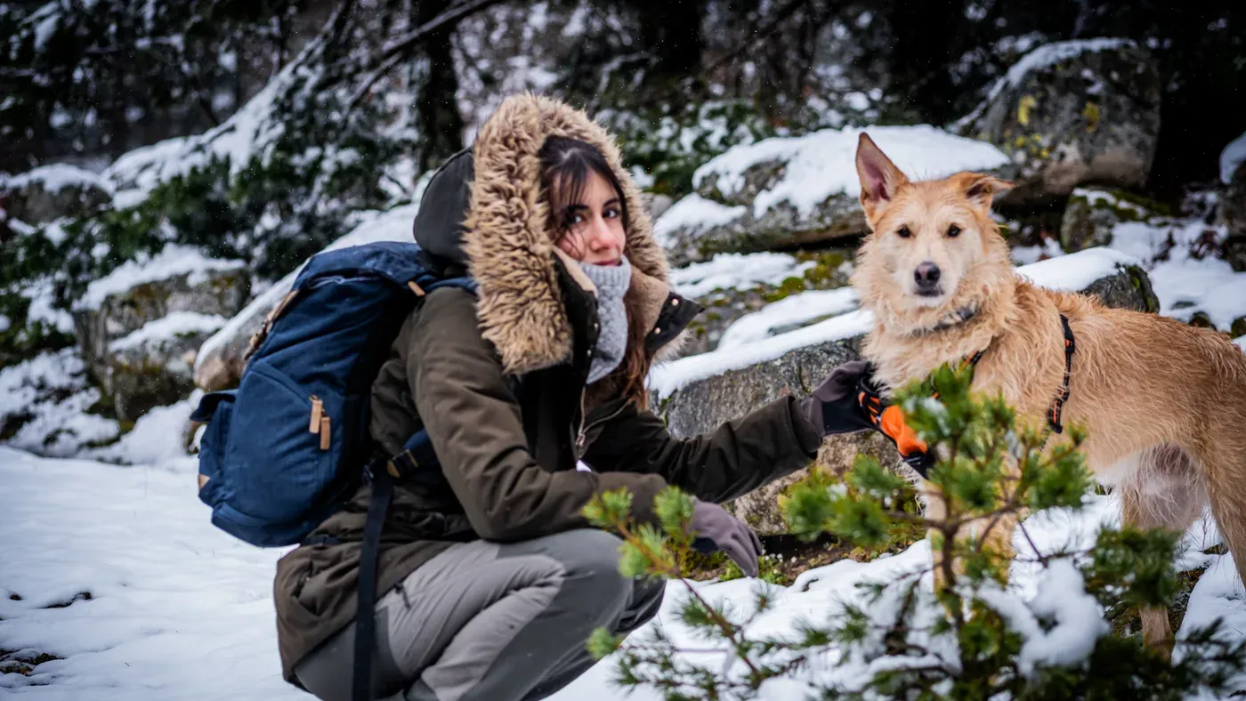 Kvinna klappar hund med orange sele i snöig skog