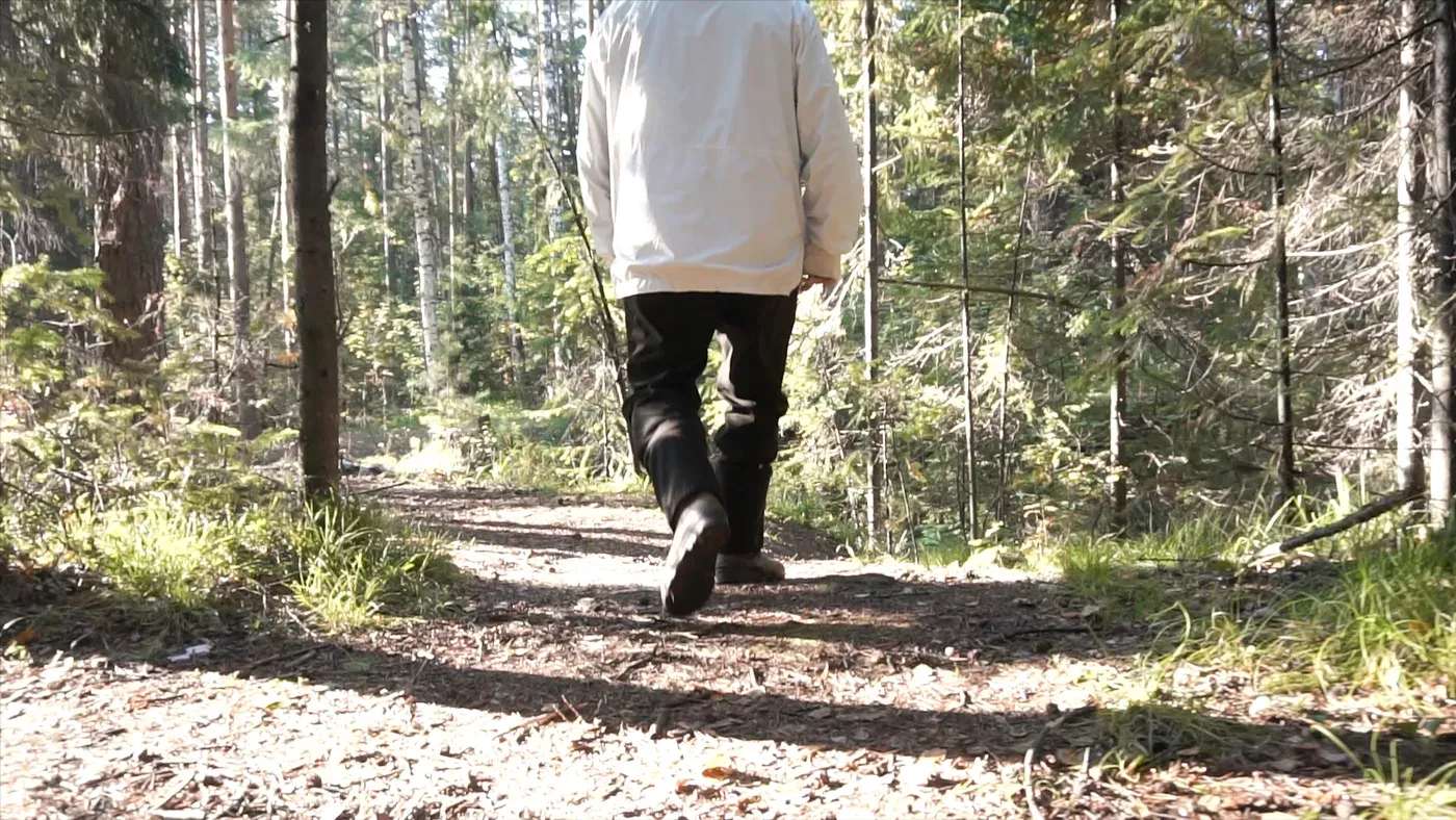 Vandrare i ljus jacka går på skogsstig bakifrån