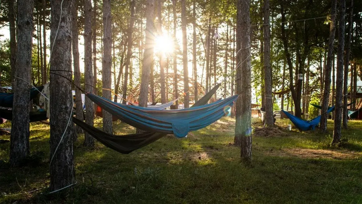 Flera hängmattor i olika färger hänger mellan träd i solnedgång