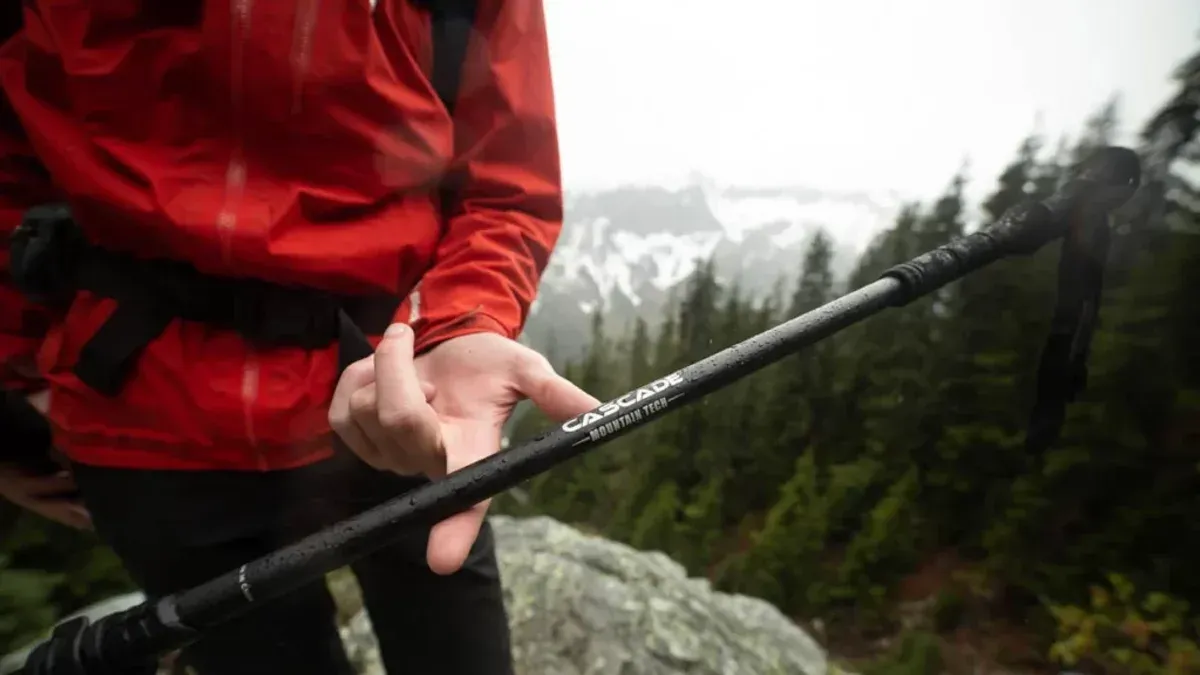 Hand håller vandringsstav med bergsutsikt i bakgrunden