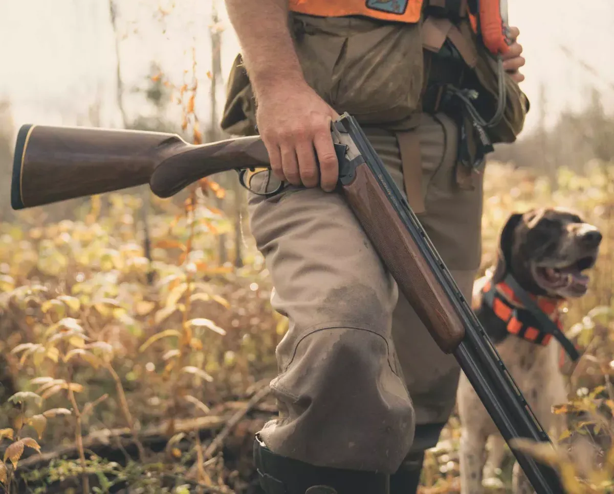 Jägare bär brutet hagelgevär bredvid hund i höstbuskage