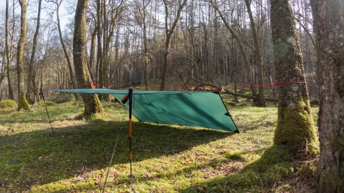 Grön tarp uppspänd mellan trädstammar i lövskog