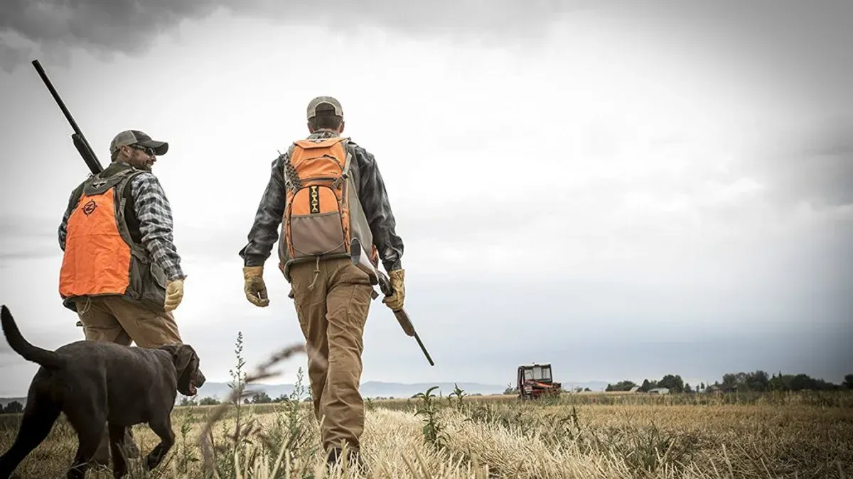 Två jägare i orange säkerhetsvästar går i fält med hund