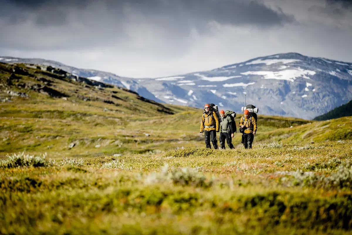 Tre vandrare med ryggsäckar på öppen fjällhed