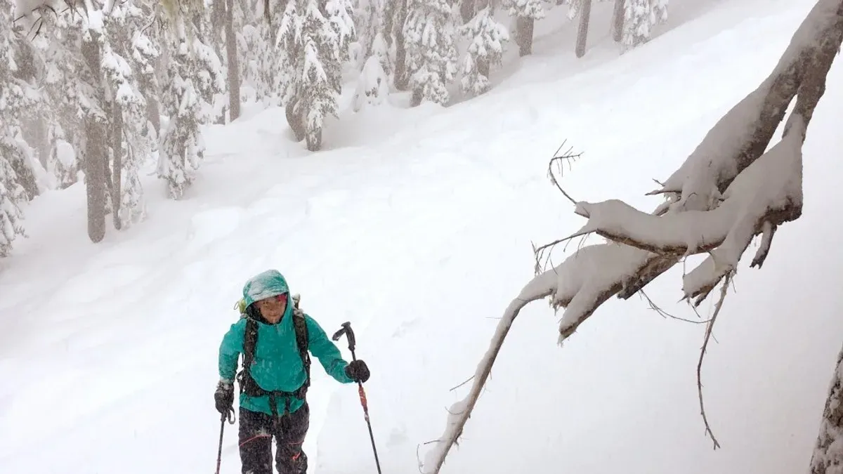 Kvinna i turkos skaljacka går med stavar i snöig skog