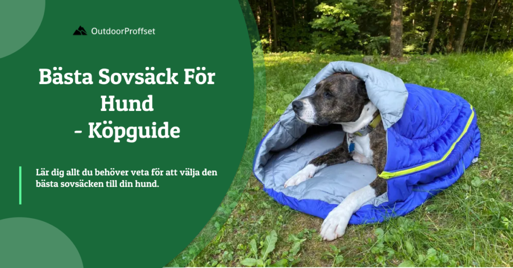 bäst i test sovsäck hund