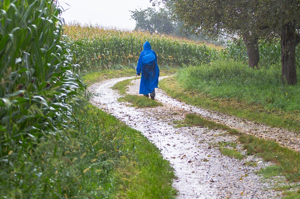 regnponcho natur vandring