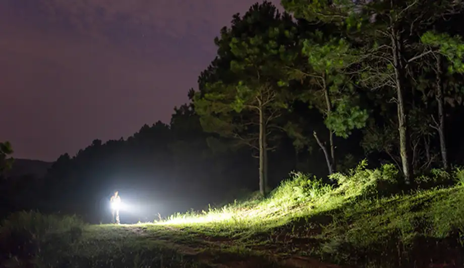 ficklampa naturen stark