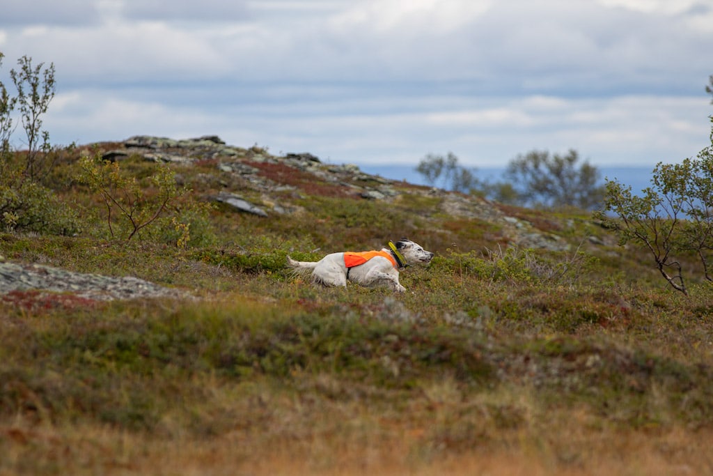 jaktväst med gps