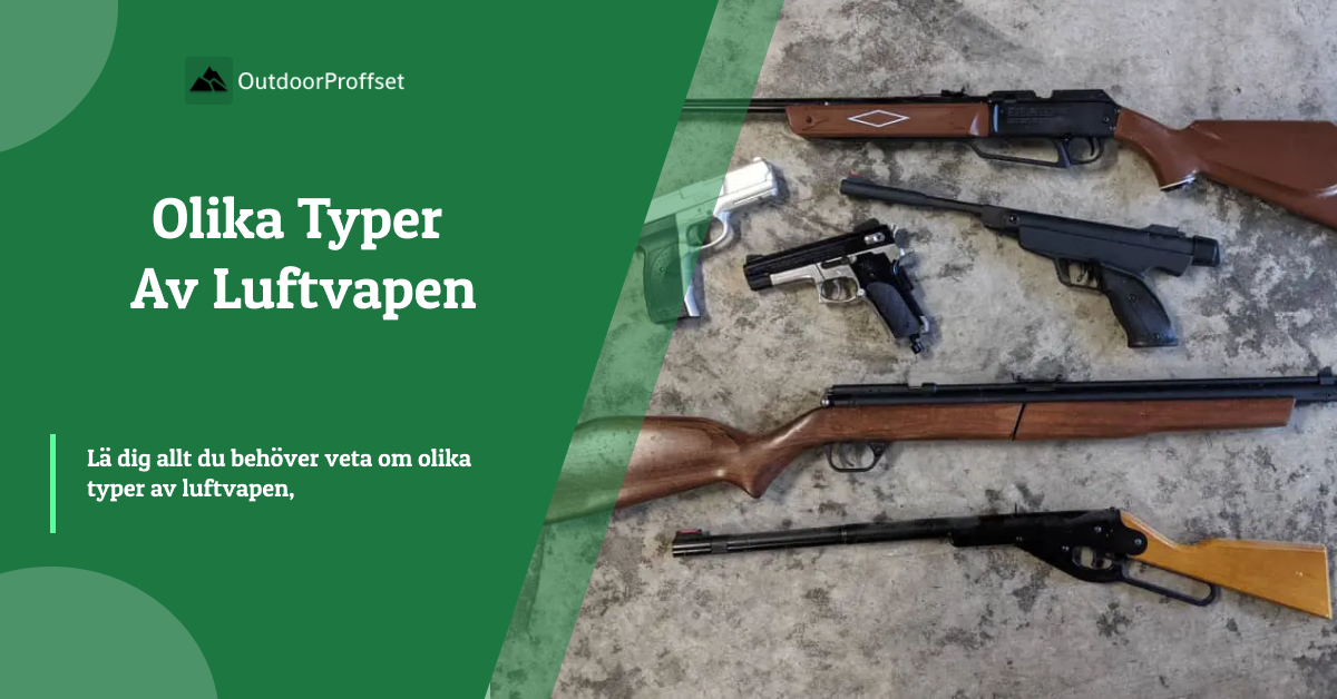 typer av luftvapen guide